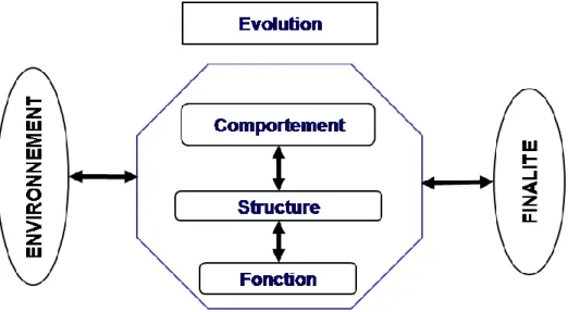 Figure 6. Niveaux de modélisation [L E  M OIGNE , 1977] 