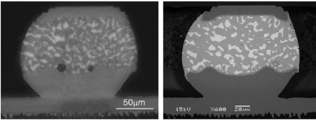 Figure 14: comparaison d'une coupe virtuelle obtenue par tomographie par diffraction de rayon X (gauche) et d’une coupe  réelle du même échantillon et observation à l’aide d’un MEB (droite)