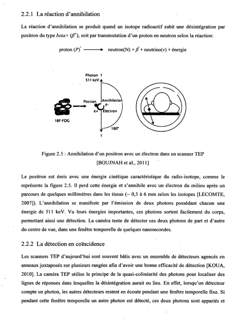 Figure 2.5 : Annihilation d'un positron avec un électron dans un scanner TEP  [BOUJNAH et al., 2011] 