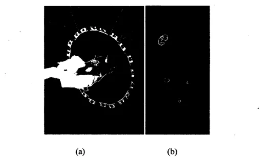 Figure 2.7: Scanner pour petit animal : (a) Un rat soumis à un examen TEP en  utilisant le scanner ClearPET™, (b) Détection d'une tumeur à l'épaule du rat [CERN 
