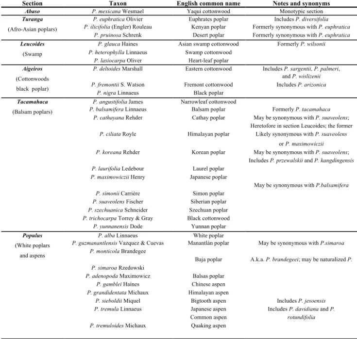 Table 1.  Taxonomic classification of the genus Populus (FAO/IPC Poplars and willow in  the world 2008) 