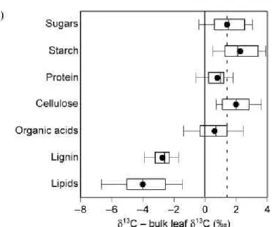 Figure 13.  An update from Boutton (1996) comparing the isotopic composition of compounds  isolated from leaves of C 3  plants, expressed relative to bulk leaf biomass