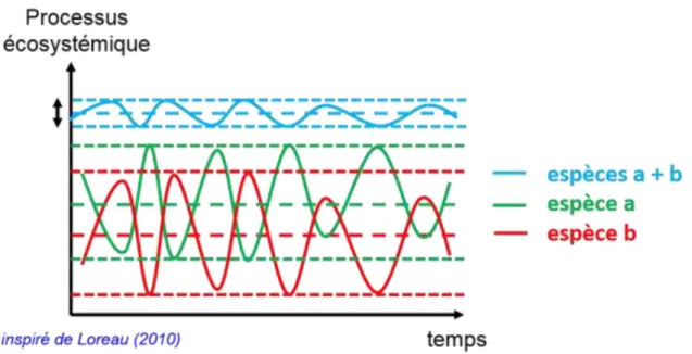 Figure  5 :  Schéma  simplifié,  expliquant  l’effet  compensatoire  de  l’asynchronie