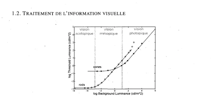 Figure 1.6 - Sensibilites des cones et batonnets en fonction de la luminance. Image tiree de  A