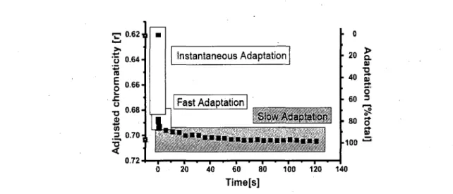 Figure 2.13 - Evolution de l'adaptation chromatique dans le temps. Image tiree de Rinner 