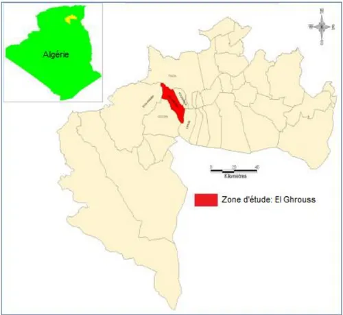 Figure 5. Localisation de la zone d’étude (El Ghrouss, Biskra).  2.3. Méthode  