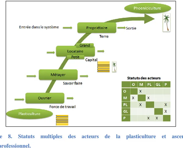 Figure  8.  Statuts  multiples  des  acteurs  de  la  plasticulture  et  ascenseur  socioprofessionnel