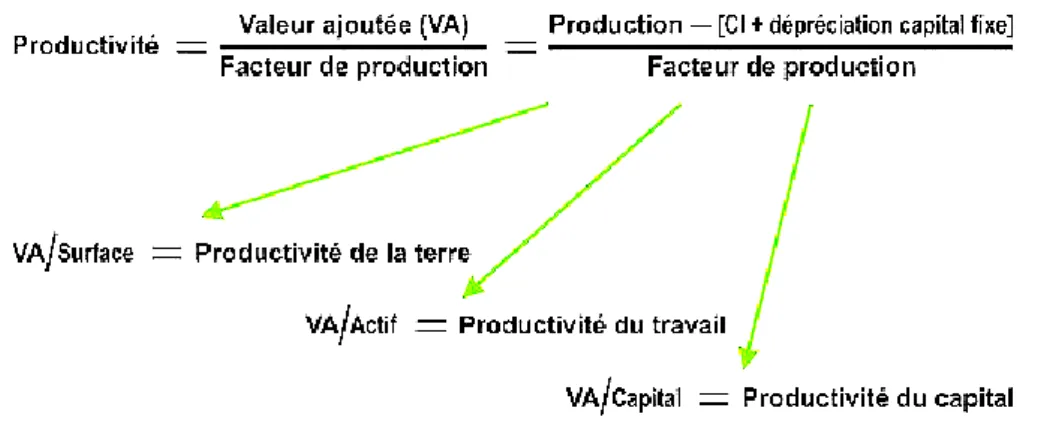Figure 1.1 : Les productivités agricoles – Source : Cochet (2012). 