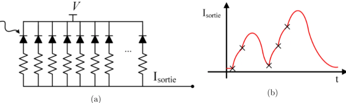 Figure 3.4 a) Schéma simplié des interconnexions d'un SiPM. b) Exemple dessiné de courbe de la sortie d'un SiPM pour deux puis trois photons détectés