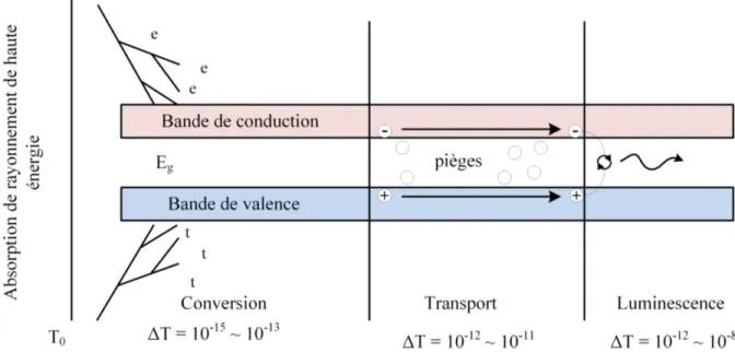 Figure 4.2 Séquence de production de la lumière dans un scintillateur avec échelles de temps associées