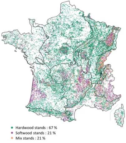 Figure 1.1.  Distribution of forest stand composition in France (IGN 2016) 