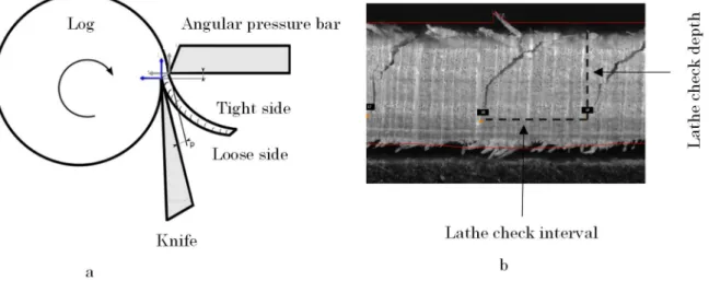 Figure 1.5.  a) Diagram of rotary peeling b) Measurement of lathe check depth and  interval using SMOF device 