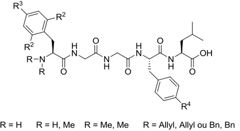 Figure 25. Modifications tolérées sur Tyr et Phe dans la Leu enképhaline.    