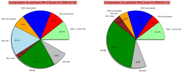 Figure 1.3 – Composition chimique des PM 10 sur des sites de Rouen et Lyon.