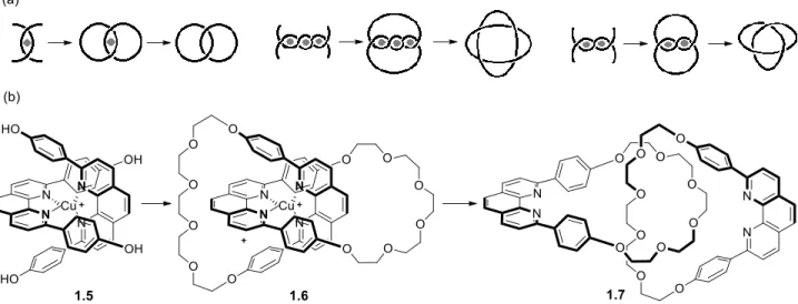 Figure 9. Synthèse de caténanes à l’aide du template (a) en général et (b) par un exemple