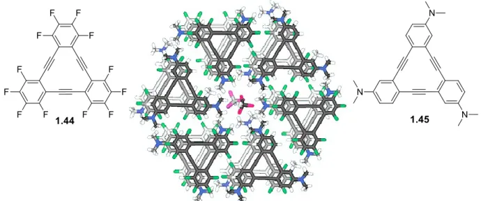 Figure 41. Représentation de cocristal de 1.44 et 1.45 (les atomes verts et bleus sont les fluores et les  azotes respectivement, les atomes roses sont les chlores du chloroforme) : les molécules de 1.44 et 1.45 