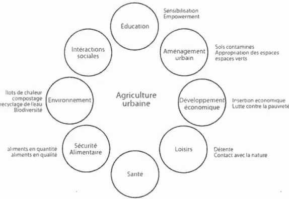 Figure 0.2  Multifonctionnalité  de  l'agriculture urbaine 