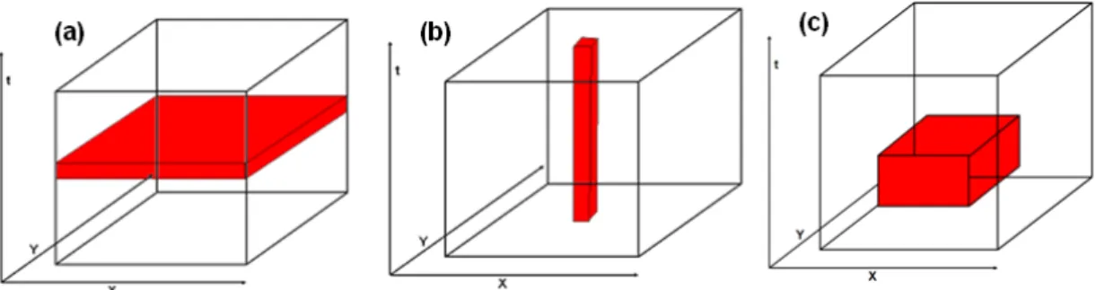 Figure 18 : Illustration des échantillons indépendants considérés dans des analyses spatiales (a),  temporelles (b) et spatio-temporelles (c)