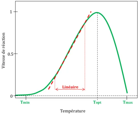 Fig. I.1 : Courbe de réponse classique (en vert) d'un phénomène biologique à la température