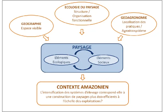 Figure 2-2 : Cadre conceptuel mobilisé pour analyser l’éco-efficience des paysages en Amazonie orientale