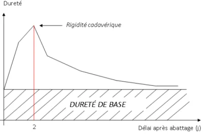 Figure 1.3 – Profil d’évolution de la dureté du muscle Longissimus Dorsi au cours de la conservation
