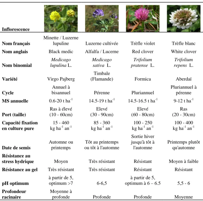 Table  1. Caractéristiques  principales  des  quatre  espèces  de  légumineuses  utilisées  en  association relais avec du blé d'hiver.