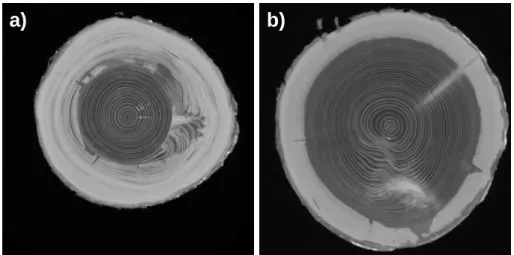 Fig. 11. Example of relatively common defects visible on CT images of Spruce: a) Compression wood; b) Resin