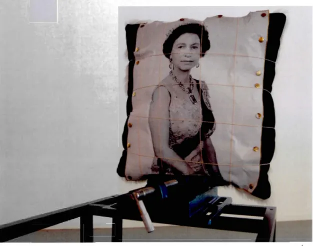 Figure 4 L es si t es  d e  r e n contre  1  (  détail  :  vue d'un des deux  côtés du coussin) 