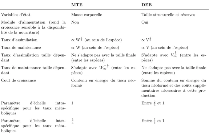 Table V.1 – Comparaison des modèles de croissance des théories MTE (Brown et al., 2004) et DEB (Kooi- (Kooi-jman, 2010) (d’après van der Meer 2006b)
