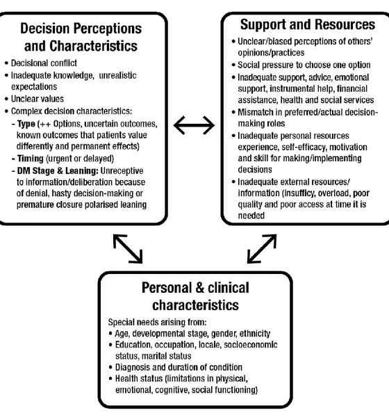 Figure 1. Categories of decisional needs in the ODSF and the interactions between them 