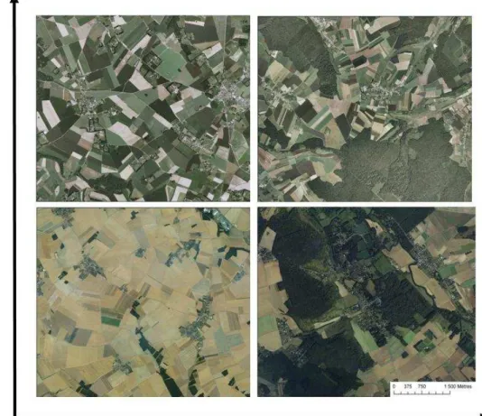 Figure  1.  14:  Illustration  des  différents  contextes  paysagers  de  notre  zone  d’étude (Photos : IGN, 2004)