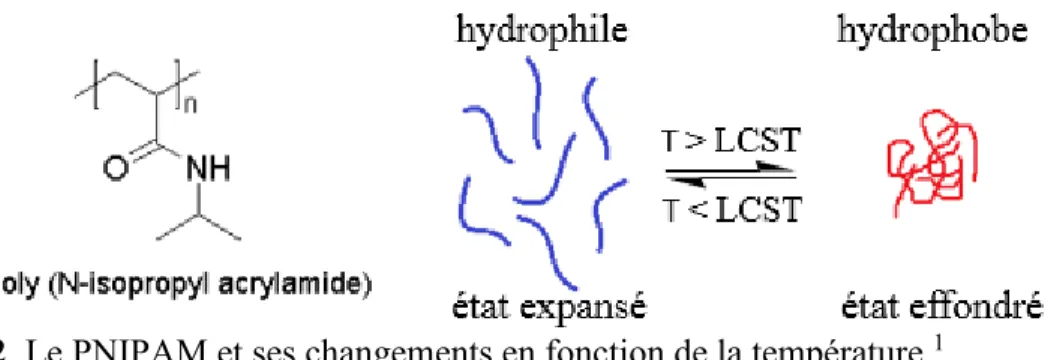 Figure 3. Variation d’un polymère sensible au pH dans l’eau. 4