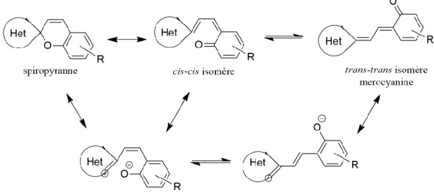 Figure 9. Le réarrangement de la molécule spiropyranne (Het est un hétérocycle). 14