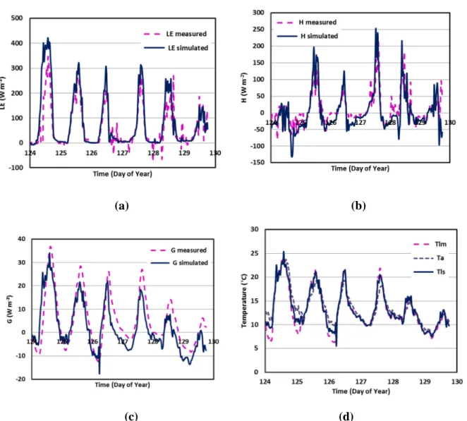 Figure  11:  Comparison  of  modeled  and  measured  components  of  the  energy  balance  and  leaf 