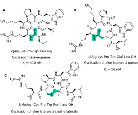 FIGURE 1.21 – Sefler et al. (1995) ont produit des macrocycles tête-à-queue, chaîne laté- laté-rale à queue et chaîne latélaté-rale à chaîne latélaté-rale