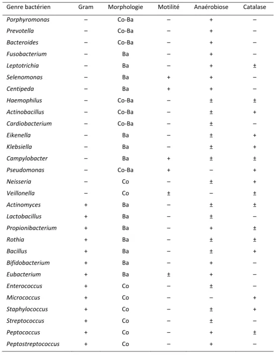 Tableau 1 : Liste des principales bactéries peuplant la cavité orale, adaptée de Boy‐Lefevre  (1993) et Chardin( 2006) 