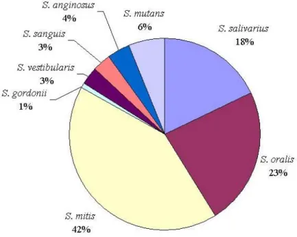 Figure 1 : Répartition des streptocoques dans la cavité buccale selon l’espèce, d’après  Tappuni et al.  (1993) 