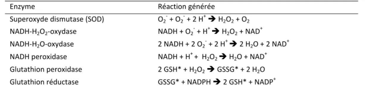 Tableau 6 : Réactions enzymatiques impliquées dans le métabolisme de l’oxygène  
