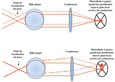 Figure 2.12  La photodiode à quatre quadrants positionnée dans un plan conjugué du plan focal arrière du condenseur ne mesure que les déviations du faisceau par la bille et n'est pas sensible à une translation du piège.