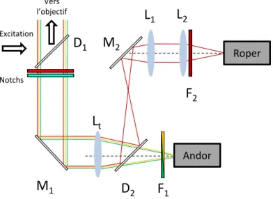 Figure 3.5  Dispositif de détection de uorescence multi-couleurs. D 1 est le miroir dichroïque