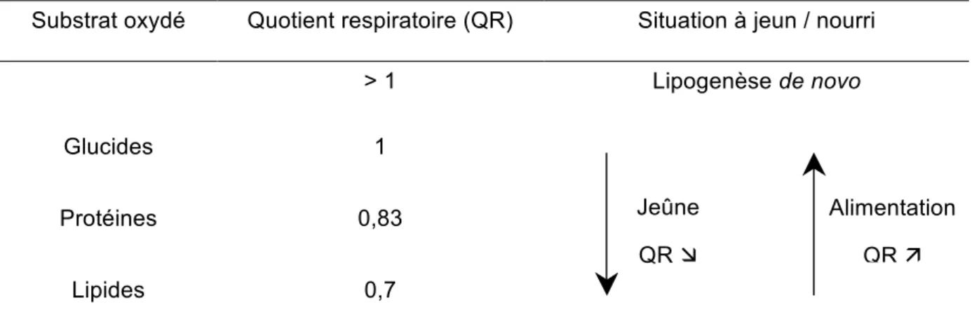 Tableau 2 : Evolution du QR en fonction des substrats oxydés et de l’état à jeun ou nourri