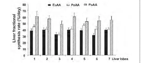 Figure 13. Stimulation des taux de synthèses hépatiques en  réponse à une hyperaminoacidémie.