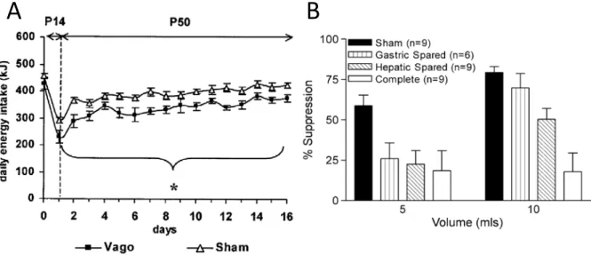 Figure 2.1 Energy intake of vagotomised and sham-operated rats. 