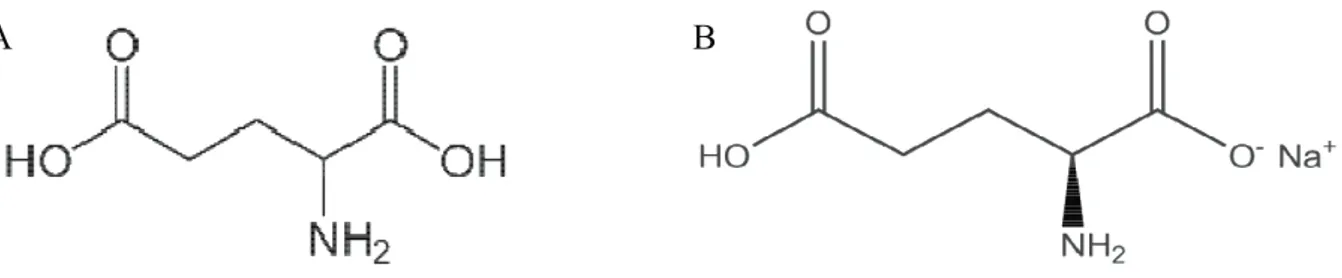 Figure 1 : Formule chimique de l’acide glutamique et du monosodium glutamate 