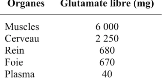 Tableau 8 : Quantité de glutamate libre en mg dans les principaux organes d’un adulte normal  (70kg) (Dillon 1991) 