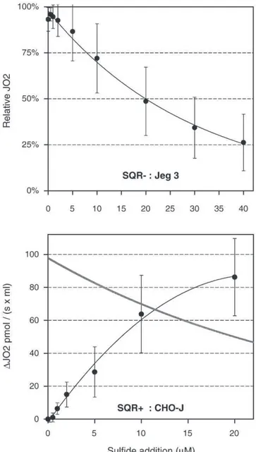 Fig. 5. Inhibition and activation of cellular respiration by sulﬁde. Top: Inhibition of respiration in Jeg3 cells: Jeg3 cells are unable to oxidize sulﬁde: in separate experiments, it was shown that there is no detectable oxygen consumption acutely trigger