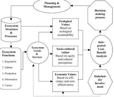 Figura 4: quadro teorico delle funzioni e dei servizi ecosistemici secondo De Groot (2006)