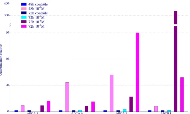 Figure  25 :  Quantification  relative  de  l’augmentation  d’expression  de  transporteurs  ABC  dans  les  cellules HL60 suite à un traitement par de la colchicine