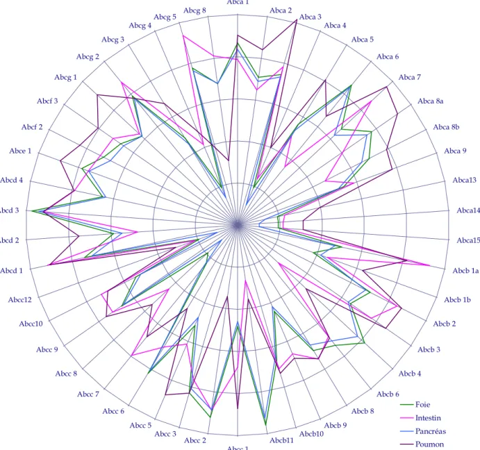 Figure 30 : Comparaison de l’expression des transporteurs ABC dans 4 organes murins. 