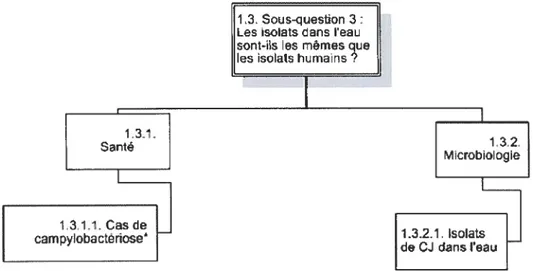Figure 5 : Sous-classes d’entités de la sous-question 3 de l’hypothèse 1.